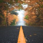 Empty open road with trees in fall