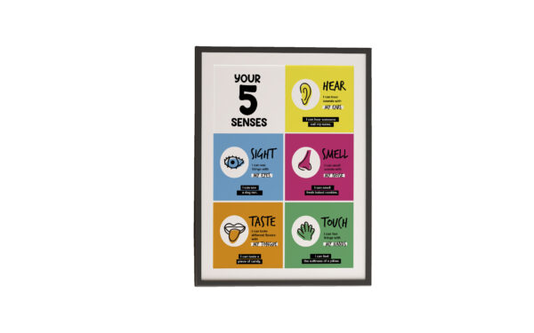 Five Senses Chart - Image 3