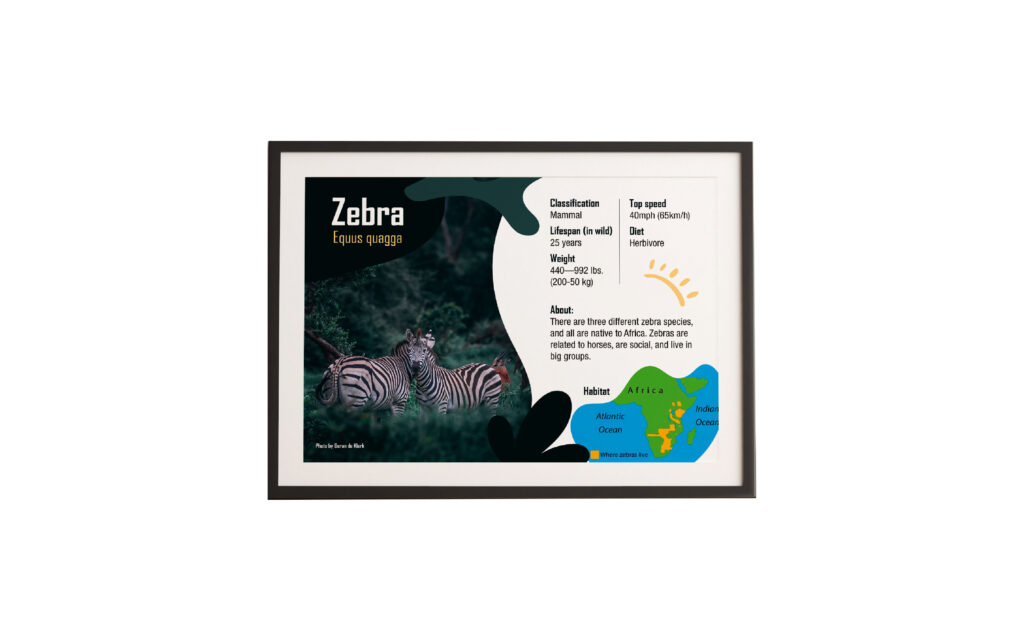 Zebra artwork in frame